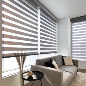 Zebra Blinds