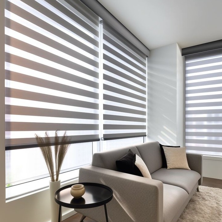 Zebra Blinds